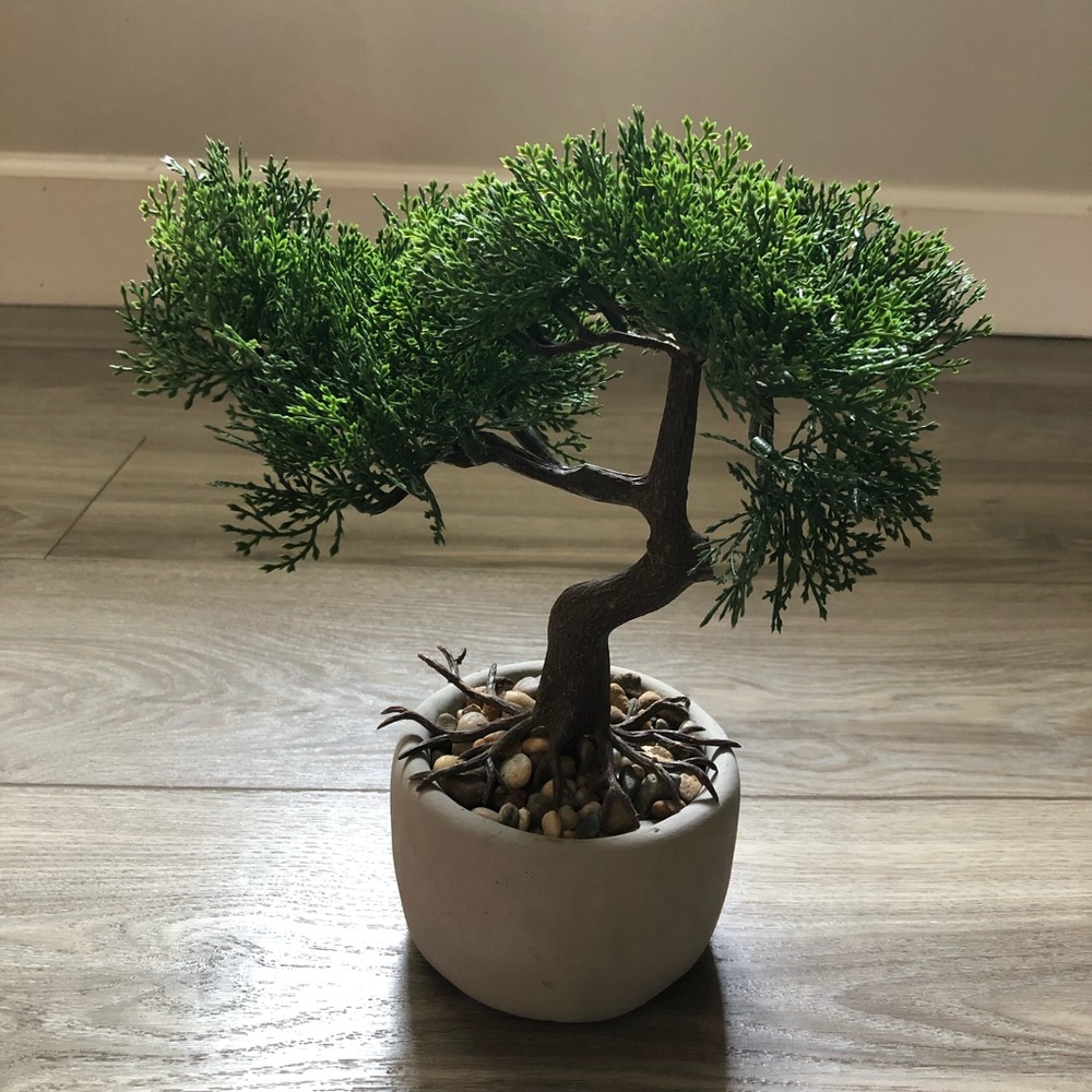 Faux Bonsai Tree | Artificial Plant | Home Decor | Concrete Pot